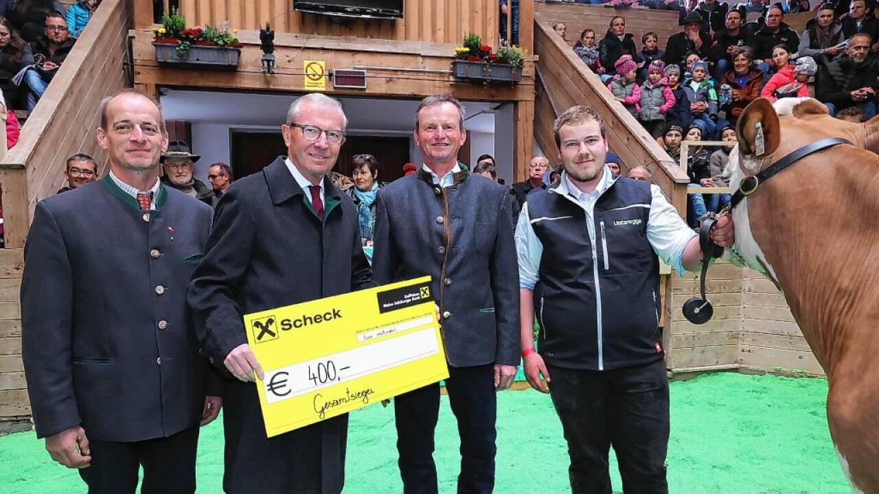 Bilder wie 2022 wird es diesmal in Maishofen nicht geben. Damals gratulierten (v. l.) Franz Loitfellner (Obmann Rinderzuchtverband Salzburg), Landeshauptmann Wilfried Haslauer und Hubert Rettensteiner (Fachausschuss-Obmann Fleckvieh) Landwirt Julian Lainer aus Lend zu seiner Siegerkuh Sissy. 