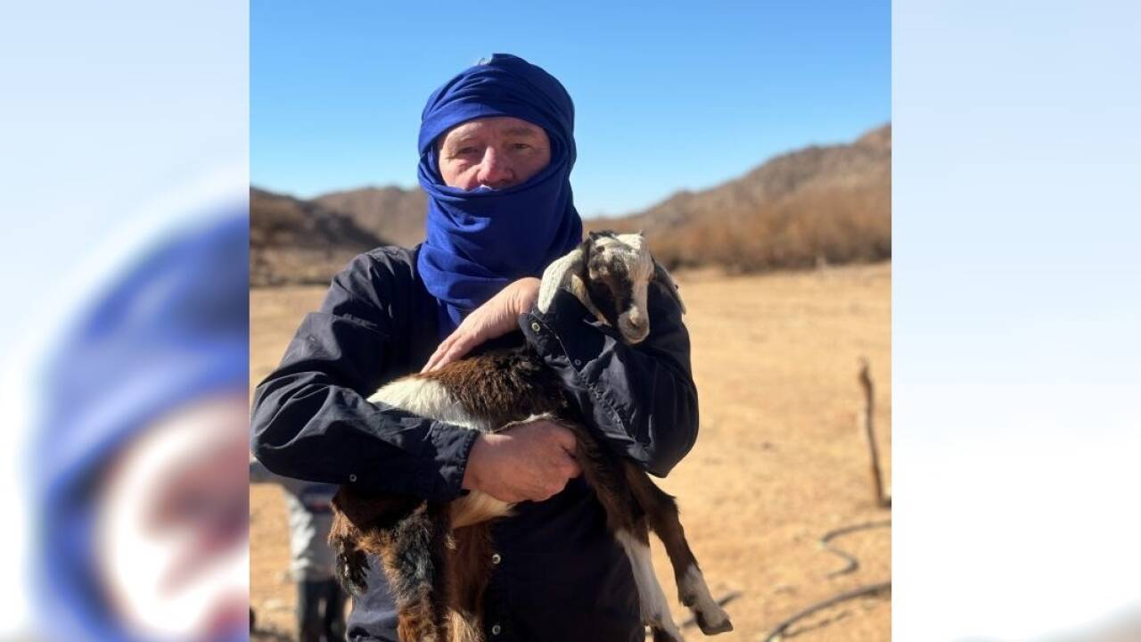 Begegnung mit dem Ziegenkitz an der Tuareg-Wasserstelle. 