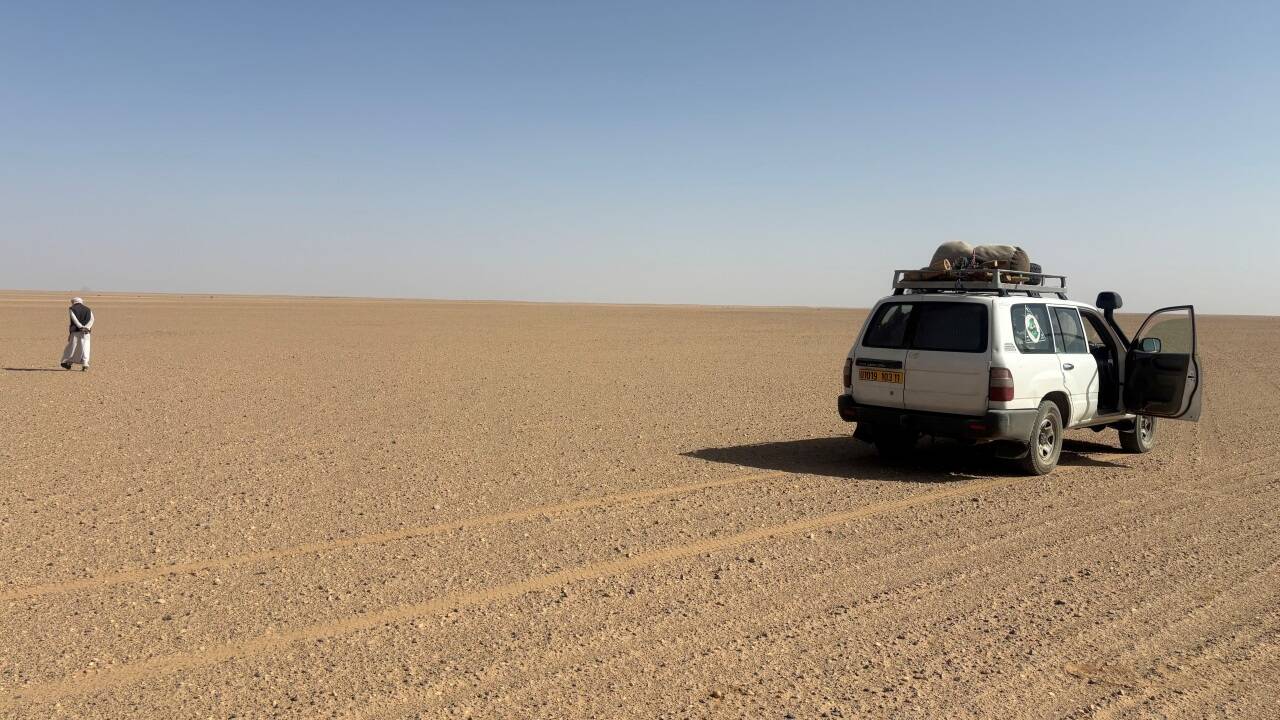 Auf der Piste durch Algeriens Wüste. 