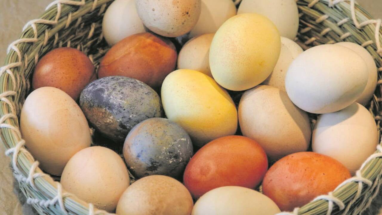 Im Vergleich zu käuflicher Lebensmittelfarbe ist die Naturfarbe in der Regel dezenter.  