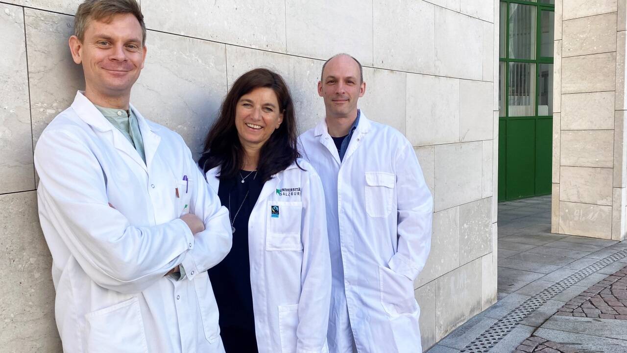 Ein europäisches Projekt für die Krebsforschung wird von der Universität Salzburg geleitet. Im Bild v. l.: Peter Krenn, Senior Scientist der Arbeitsgruppe für Molekulare Krebsforschung, Vizerektorin Jutta Horejs-Höck und Universitätsprofessor Dirk Schmidt-Arras. 