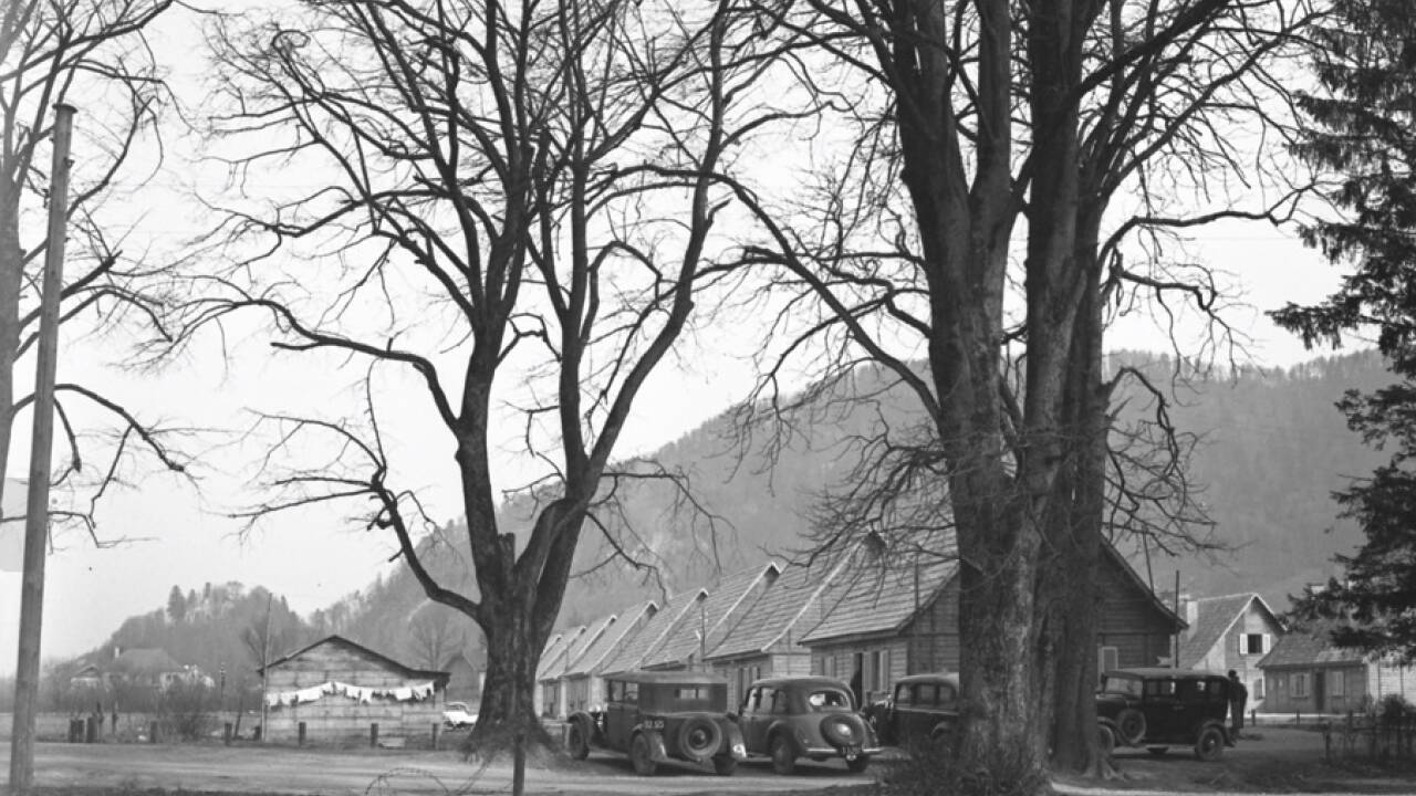 Diese Fotografie aus dem Salzburger Stadtarchiv konnte nun endlich zugeordnet werden: in den Baracken lebten nach dem Zweiten Weltkrieg jüdische Displaced Persons. Diese Fotografie aus dem Salzburger Stadtarchiv konnte nun endlich zugeordnet werden: in den Baracken lebten nach dem Zweiten Weltkrieg jüdische Displaced Persons.