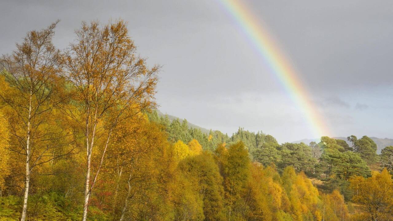 Beim schönsten Regenbogen muss auch Regen sein, heißt es in einem alten Schlager. 
