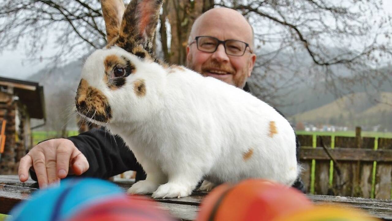 Christian Hofer, Obmann des Kleintierzuchtvereins Saalfelden, freut sich über zahlreiche Besucher/-innen.  