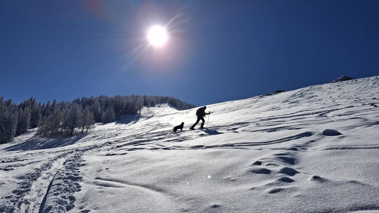 Die Spur führt über die Eckerleiten zum Purtschellerhaus. 