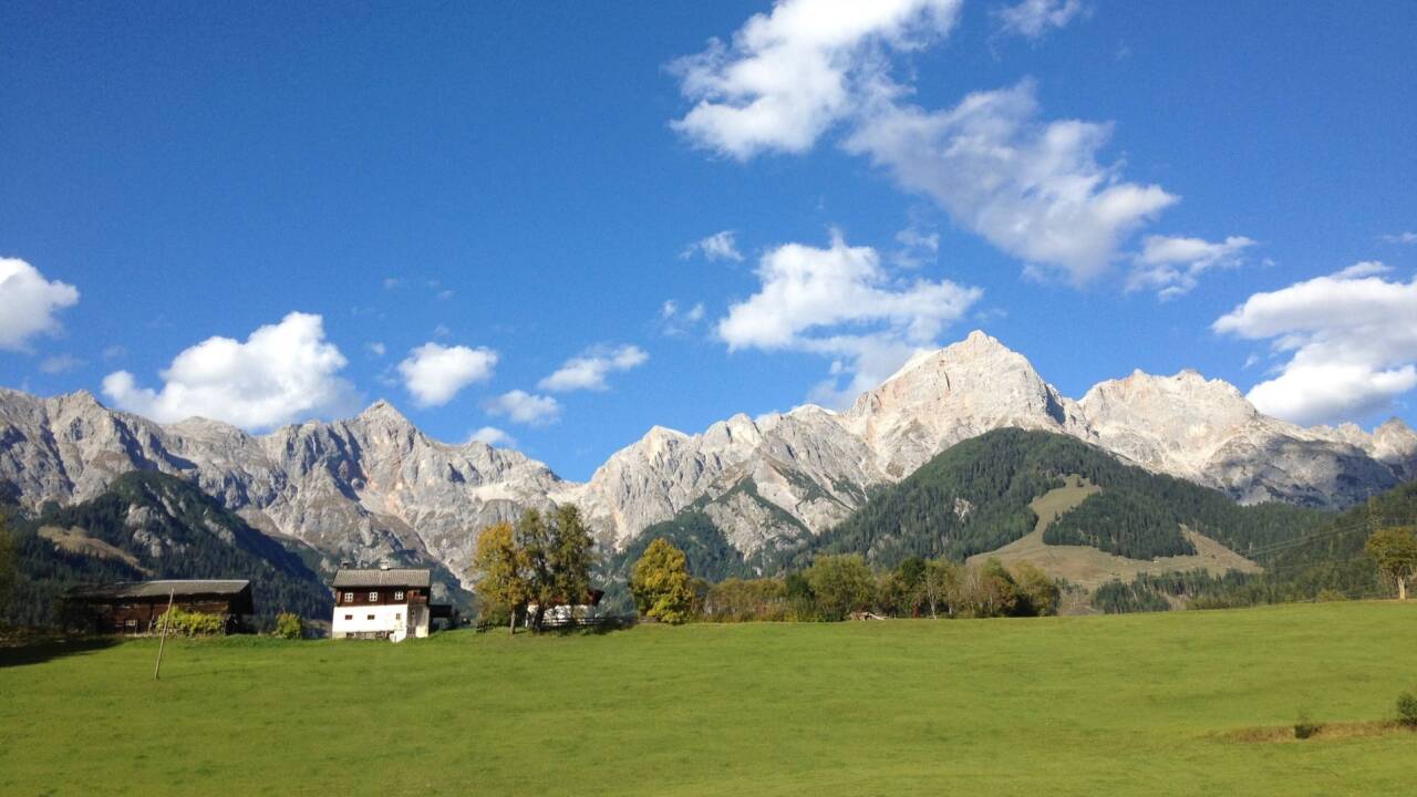 Gut für die Landwirtschaft: Der Regenwurm. 