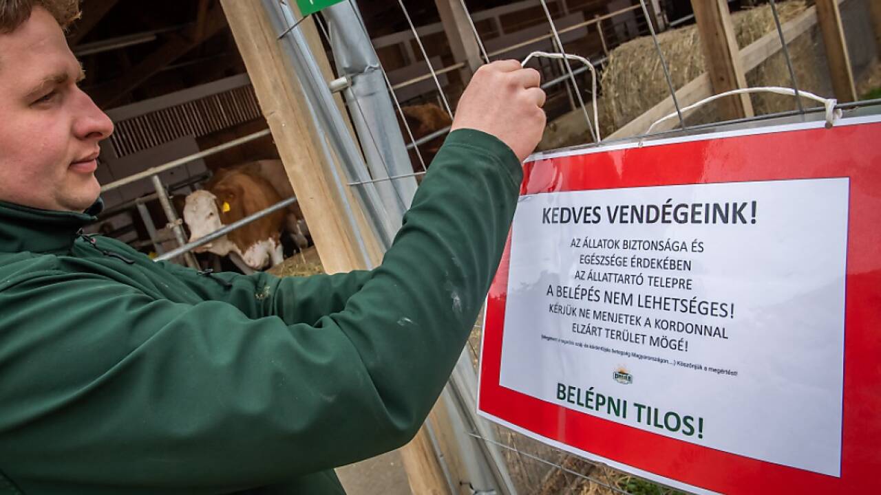 Umfassende Vorsichtsmaßnahmen wegen der Seuche nötig 