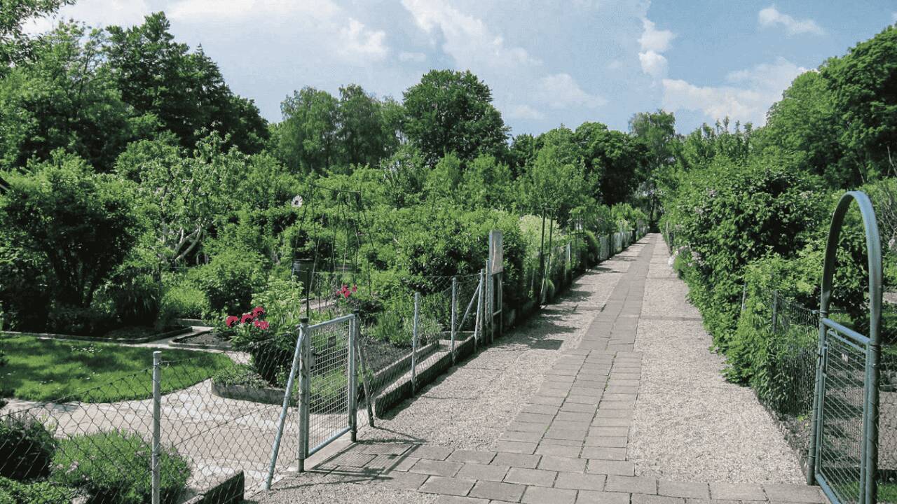 Viele Menschen, die privat keinen Garten besitzen, träumen von einem Rückzugsort im Grünen.  