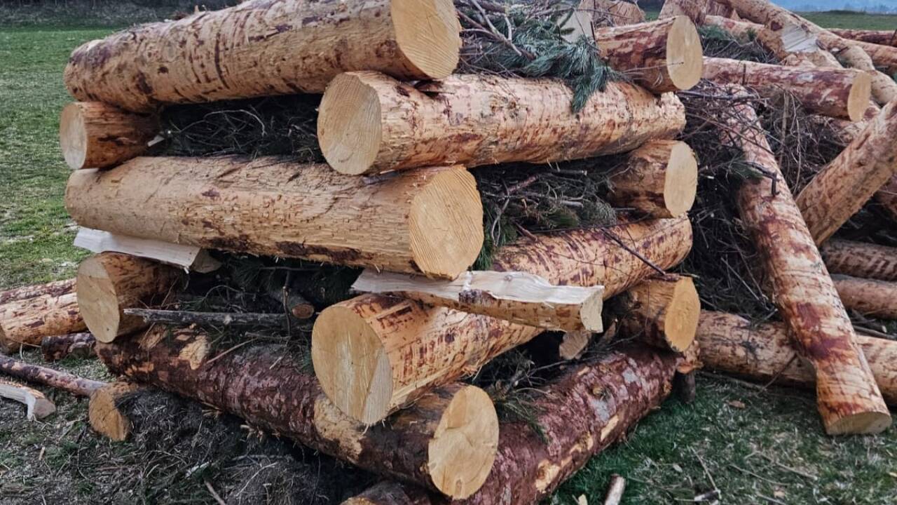 Fünf Wochenenden arbeiteten die Mitglieder der Brauchtumsgruppe Höf an ihrem Osterfeuer.  Fünf Wochenenden arbeiteten die Mitglieder der Brauchtumsgruppe Höf an ihrem Osterfeuer.