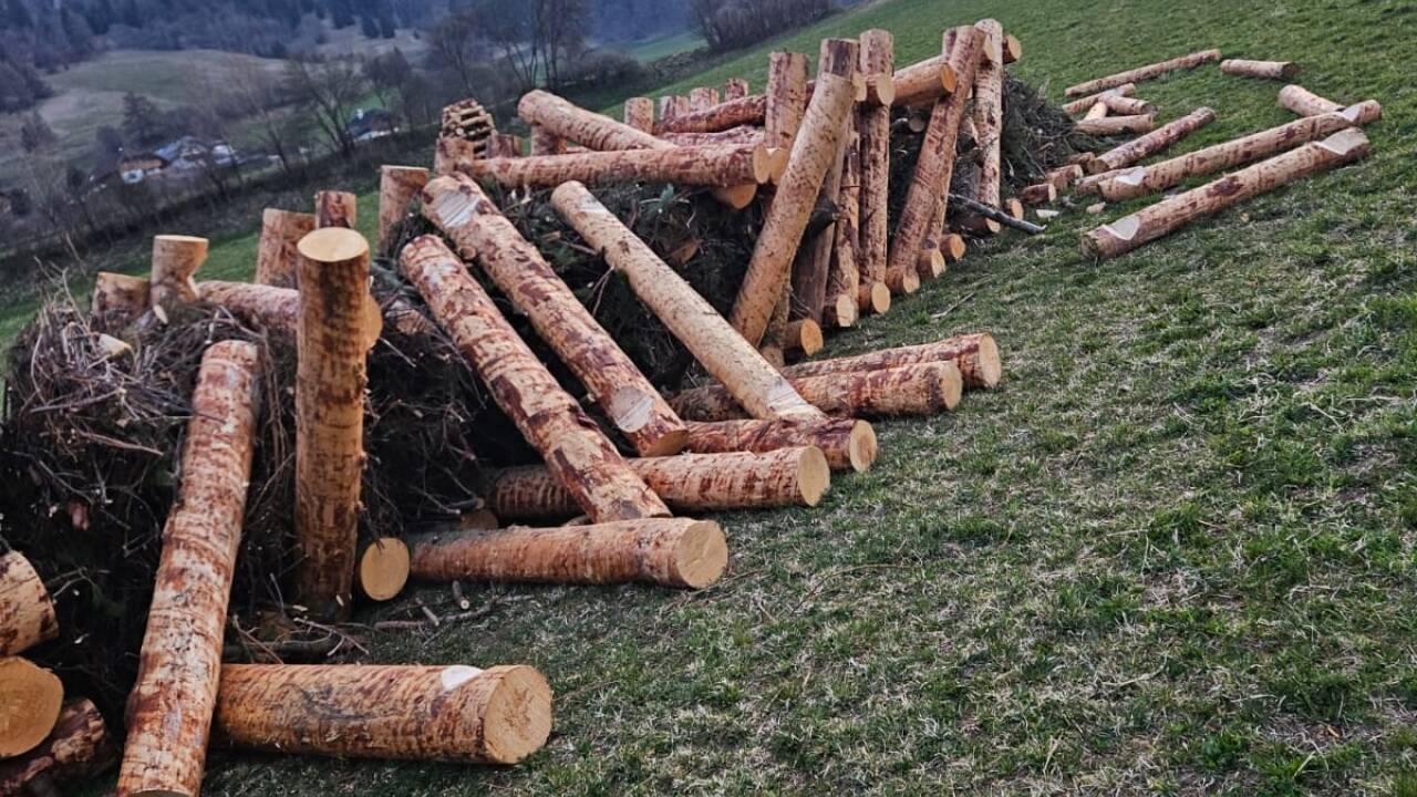 Das zerstörte Osterfeuer der Brauchtumsgruppe Höf.  Das zerstörte Osterfeuer der Brauchtumsgruppe Höf.