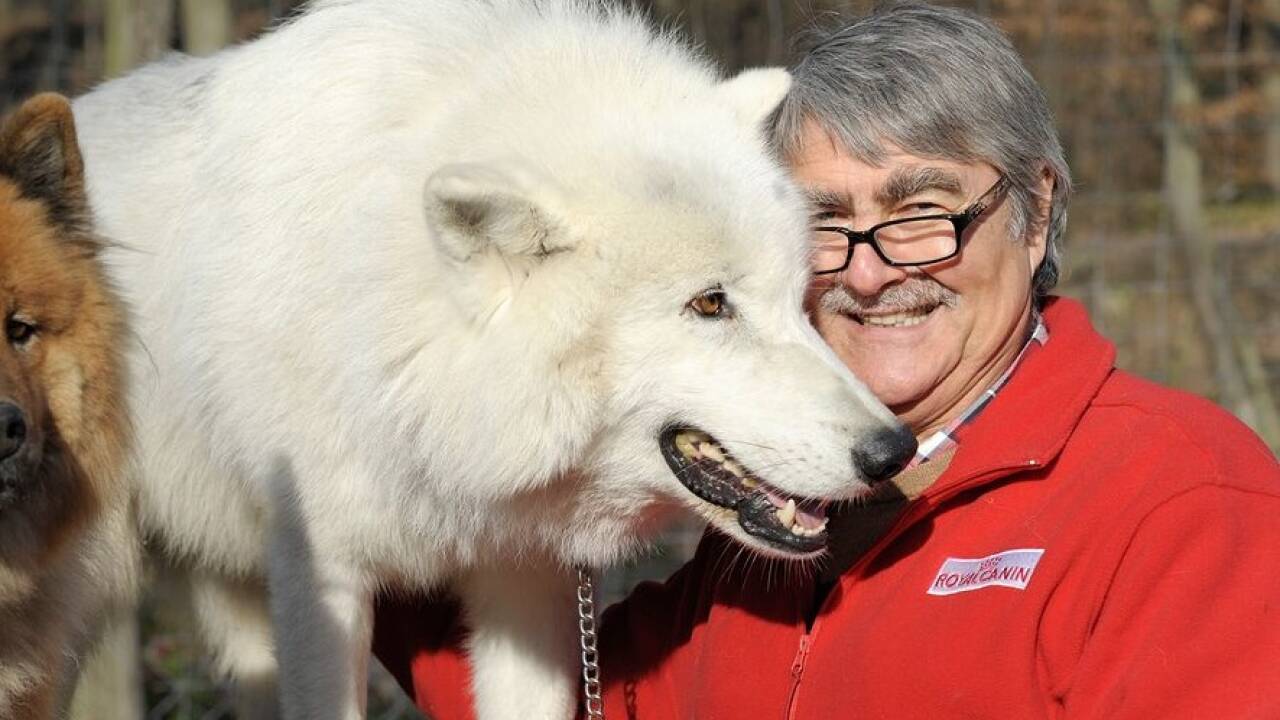 Kurt Kotrschal: „Ich würde mich mehr vor Wildschweinen fürchten.“ 
