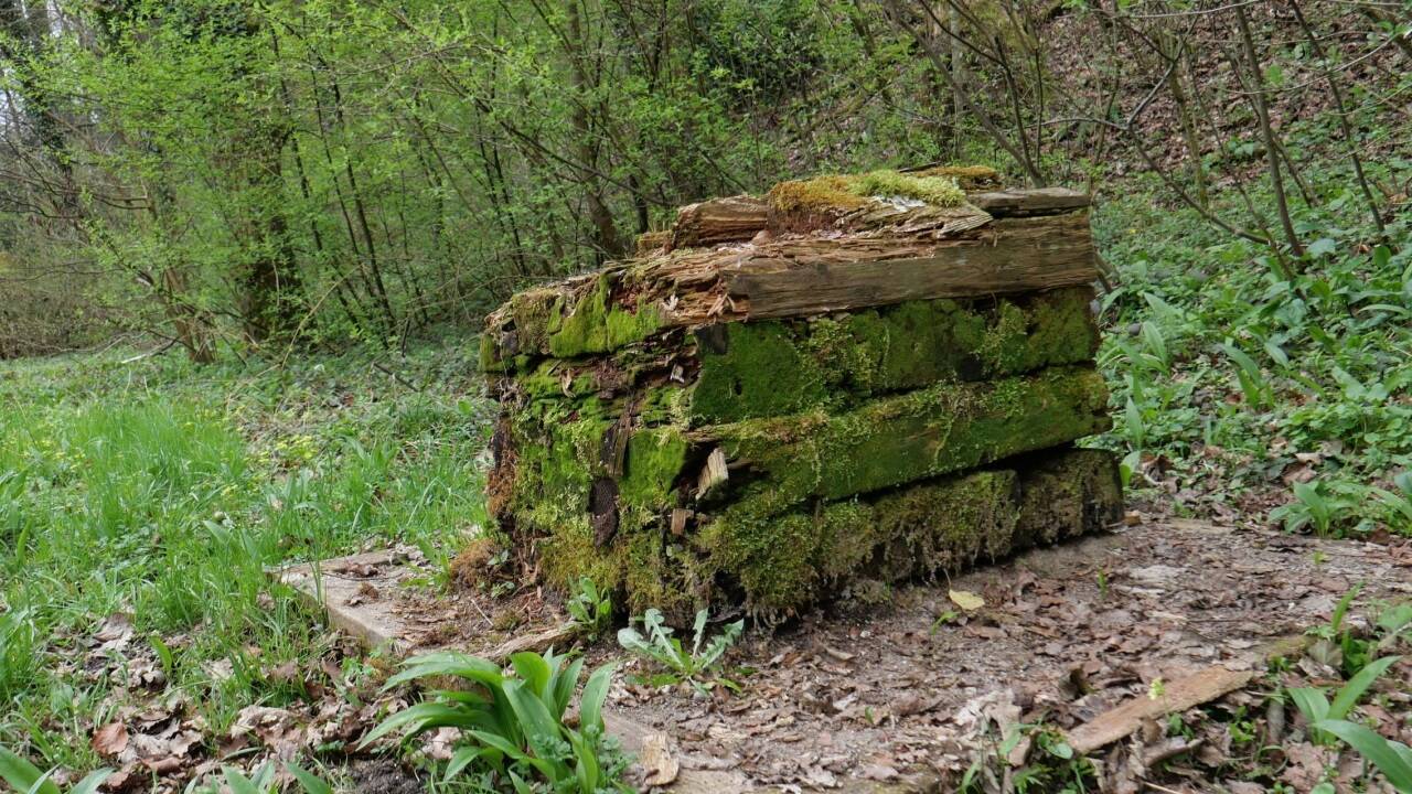 Seit 2004 steht dieses Häuschen im Schlosspark in Hellbrunn.  