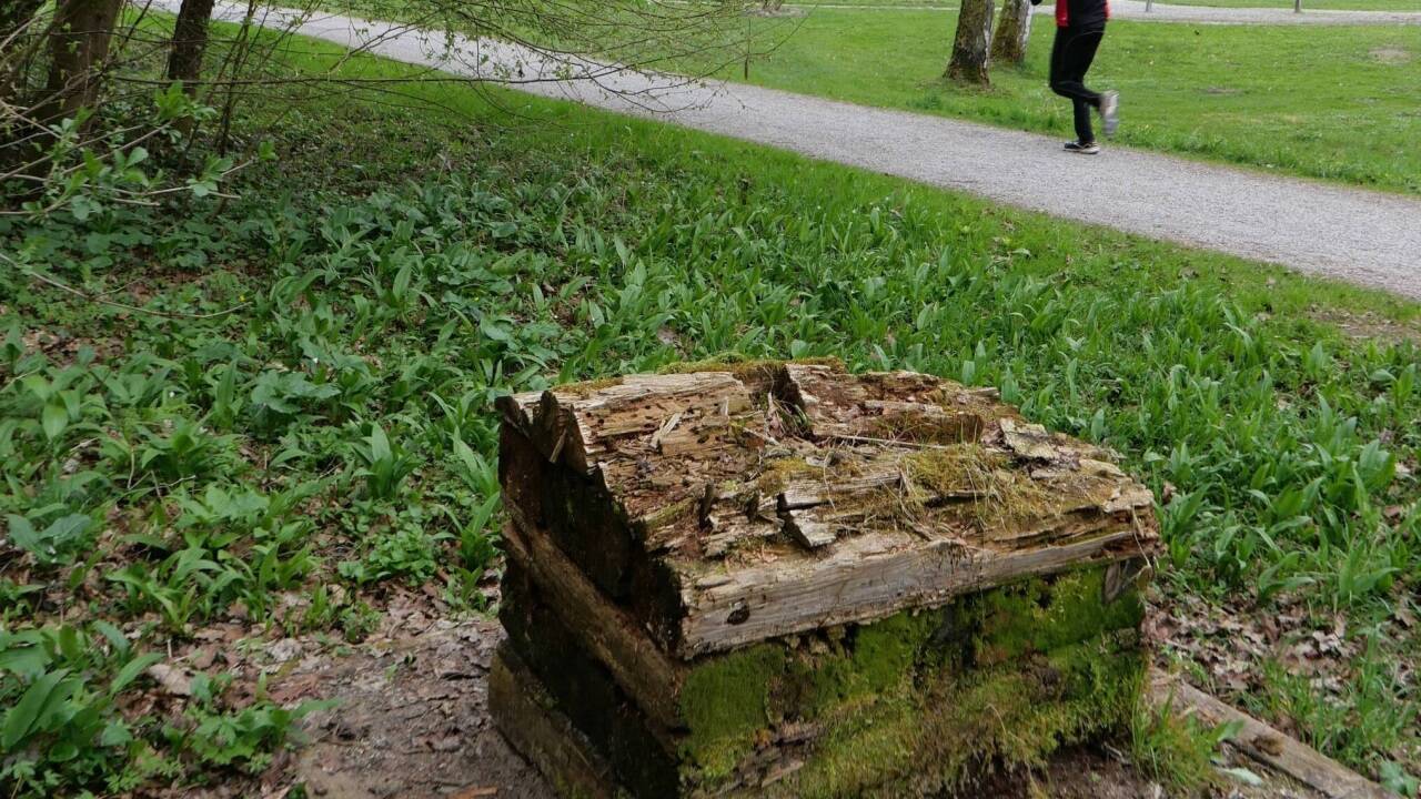 Aufstellungsort am Wegrand.  