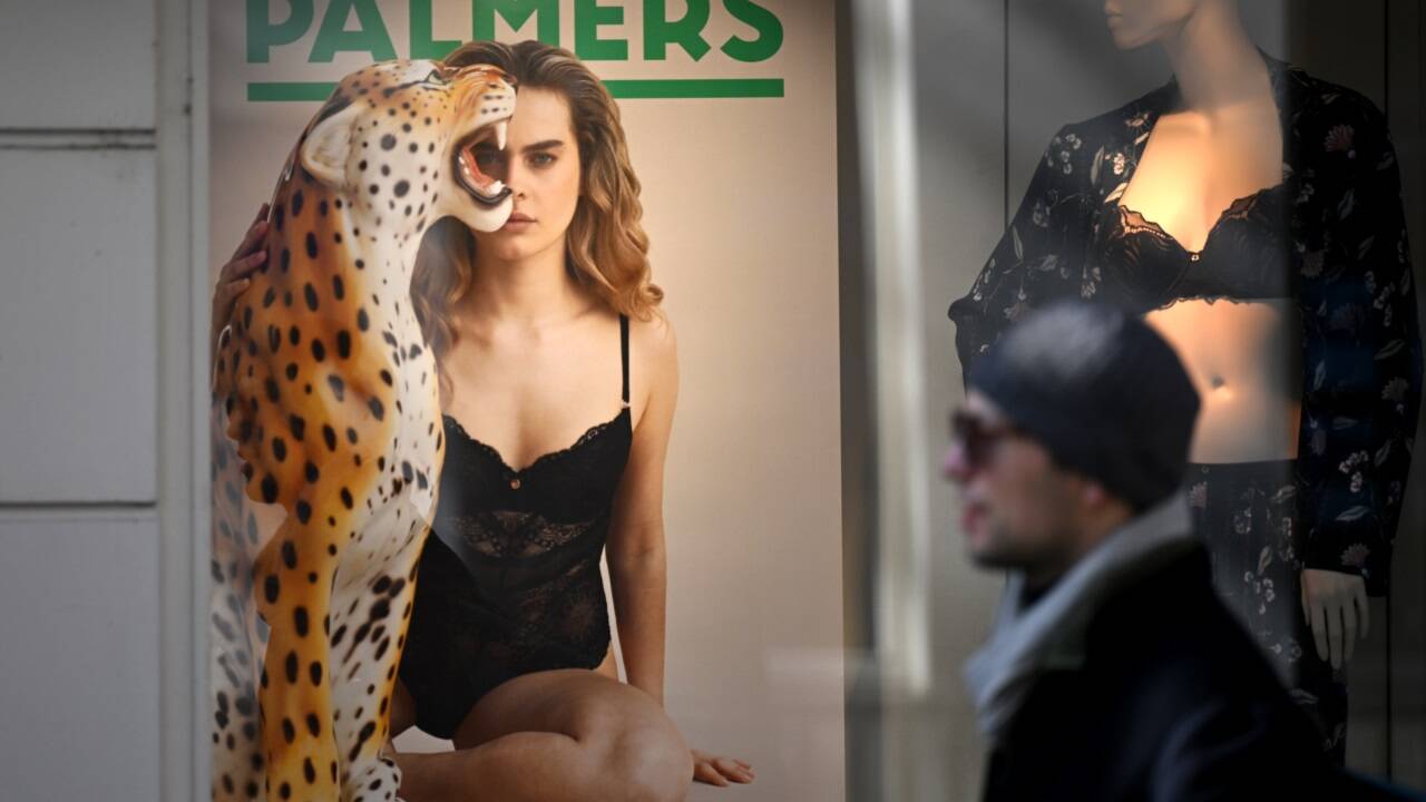 Palmers kämpft ums Überleben. Palmers kämpft ums Überleben.