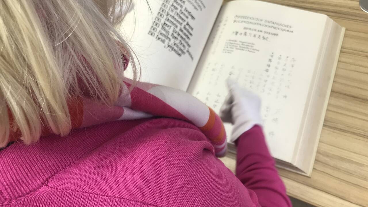 Um Halleins „Goldenes Buch“ kümmerte sich Rosa Bock mit Herzblut. 