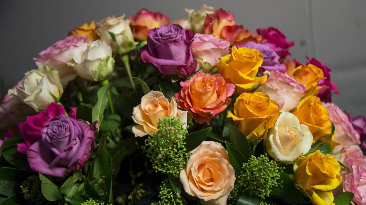Die Kunstgärtnerei Doll ist zum 19. Mal für den Blumenschmuck des Opernballs verantwortlich.  