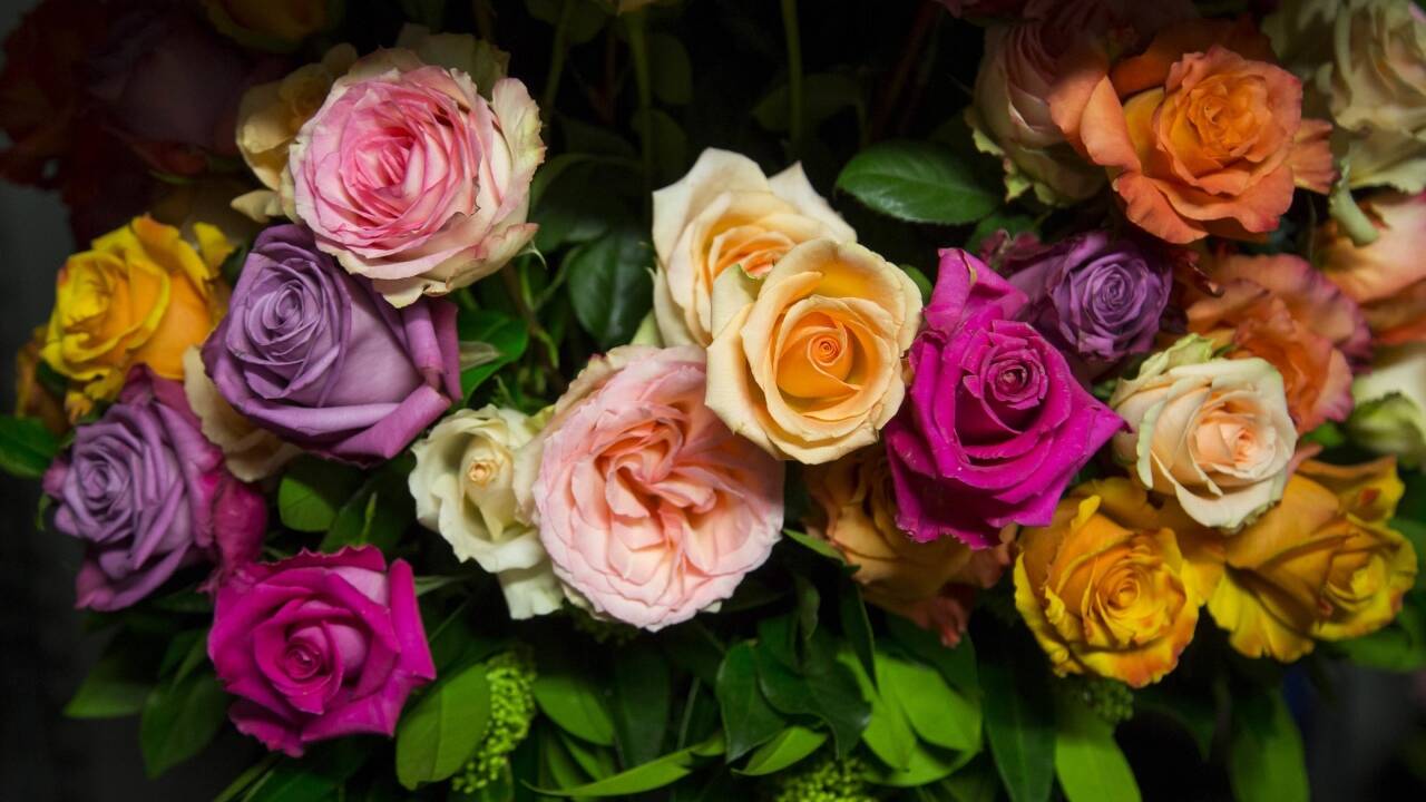 Die Kunstgärtnerei Doll ist zum 19. Mal für den Blumenschmuck des Opernballs verantwortlich.  