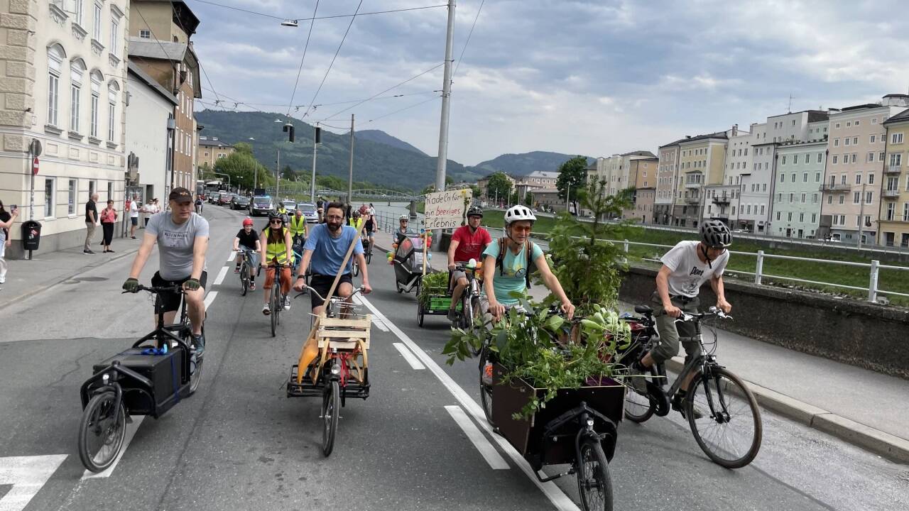Was passt alles auf ein Lastenrad? 