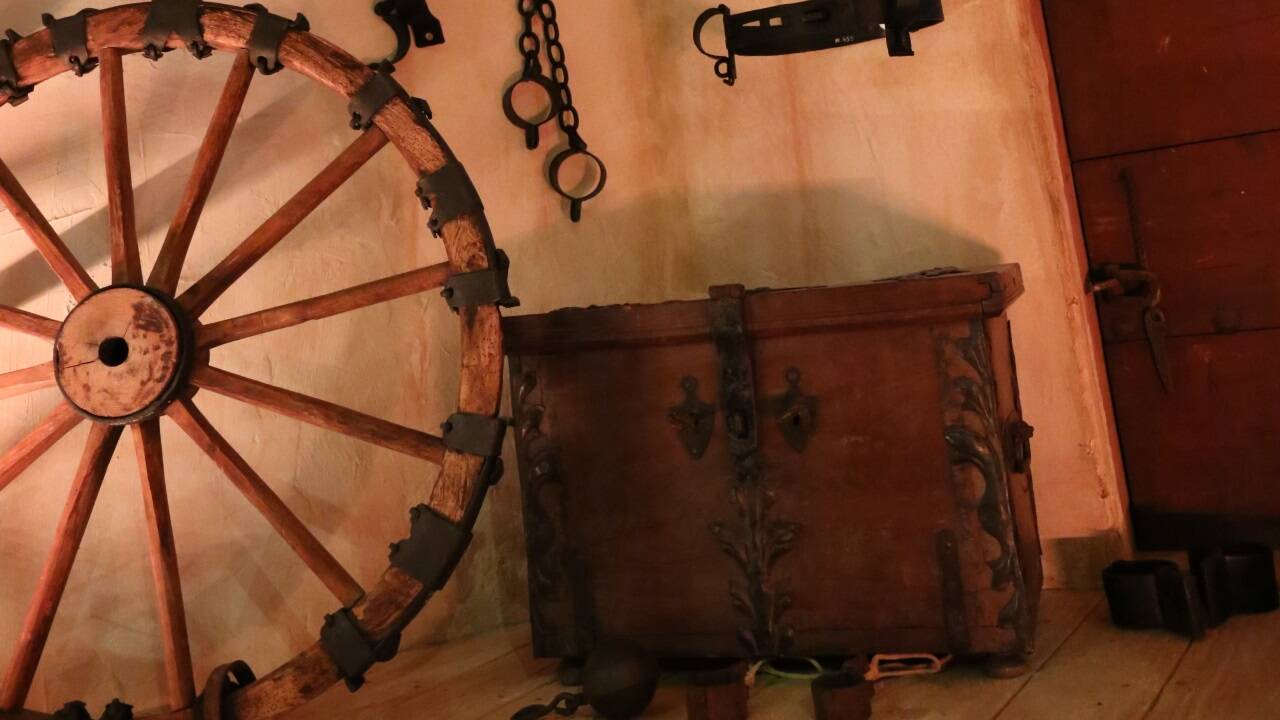 Das Museum gibt spannende Einblicke in die regionale Natur- und Kulturgeschichte. 