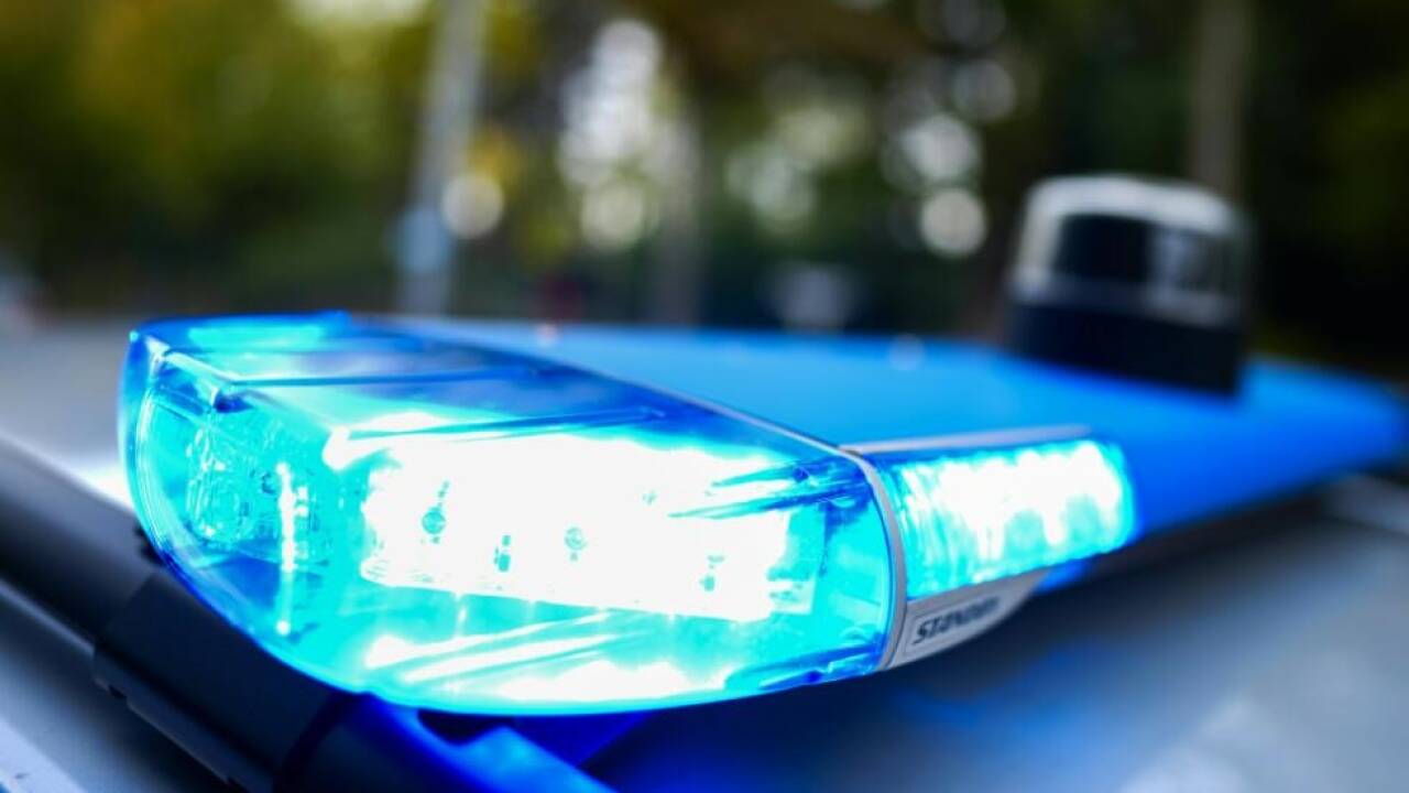 Die Polizeibeamten schritten ein und konnten die Schlägerei beenden (Symbolbild). 