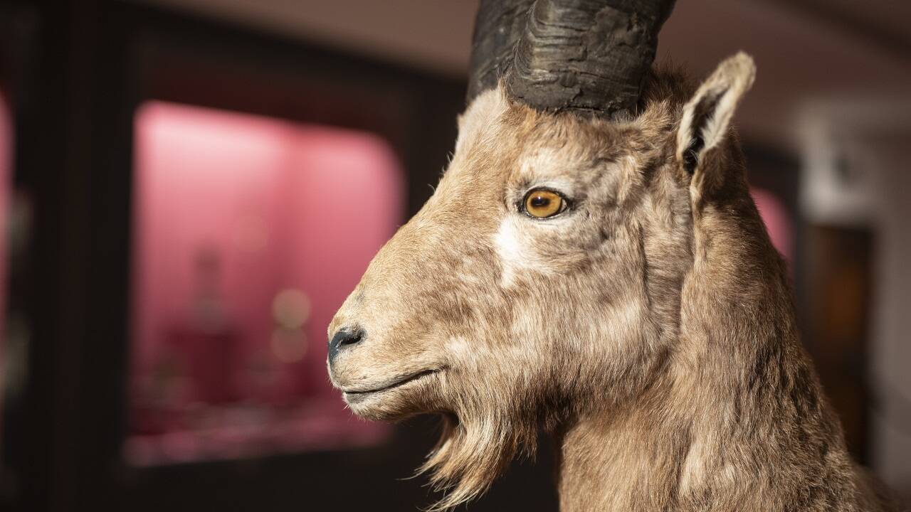 Die inhaltliche Ausrichtung des Museums entspricht dem Leitsatz „Blühender Bergbau ist blühende Kunst“, da das ausgehende Mittelalter die Blütezeit des Bergbaues im Erzstift Salzburg, insbesondere in Leogang, war.  