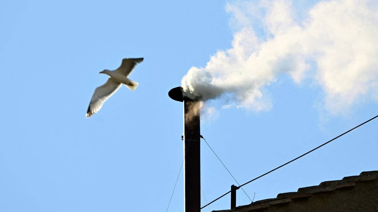 Weißer Rauch steigt aus dem Kamin der Sixtinischen Kapelle auf – und eine Möwe zieht ihre Kreise. 