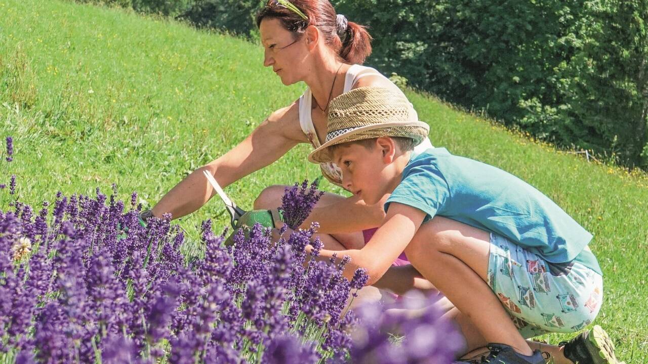 Sabrina Warter, Co-Bäuerin vom Furtlegg-Gut, mit Sohn: Am besten gelingt die Lavendelernte um die Mittagszeit.  