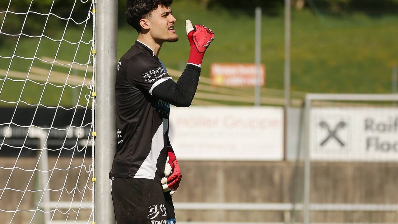 Stefan Janjic und die Hallwanger empfingen Hallein. 