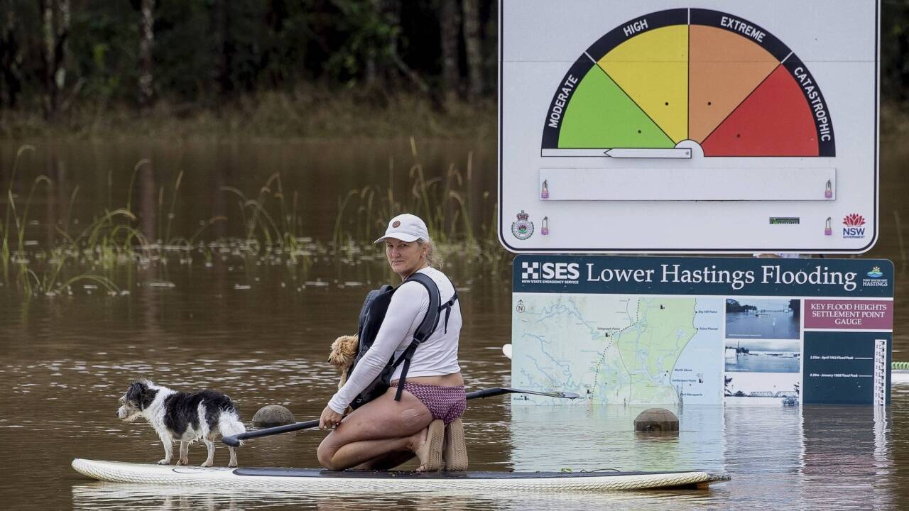Aus der Not eine Tugend gemacht: Eine Frau paddelt mit ihrem Hund in Port Macquarie (Sydney) durch die Fluten. Die Anzeige im Bildhintergrund verweist auf die geringe Brandgefahr. Alles andere wäre bei diesen Regenmengen überraschend.  