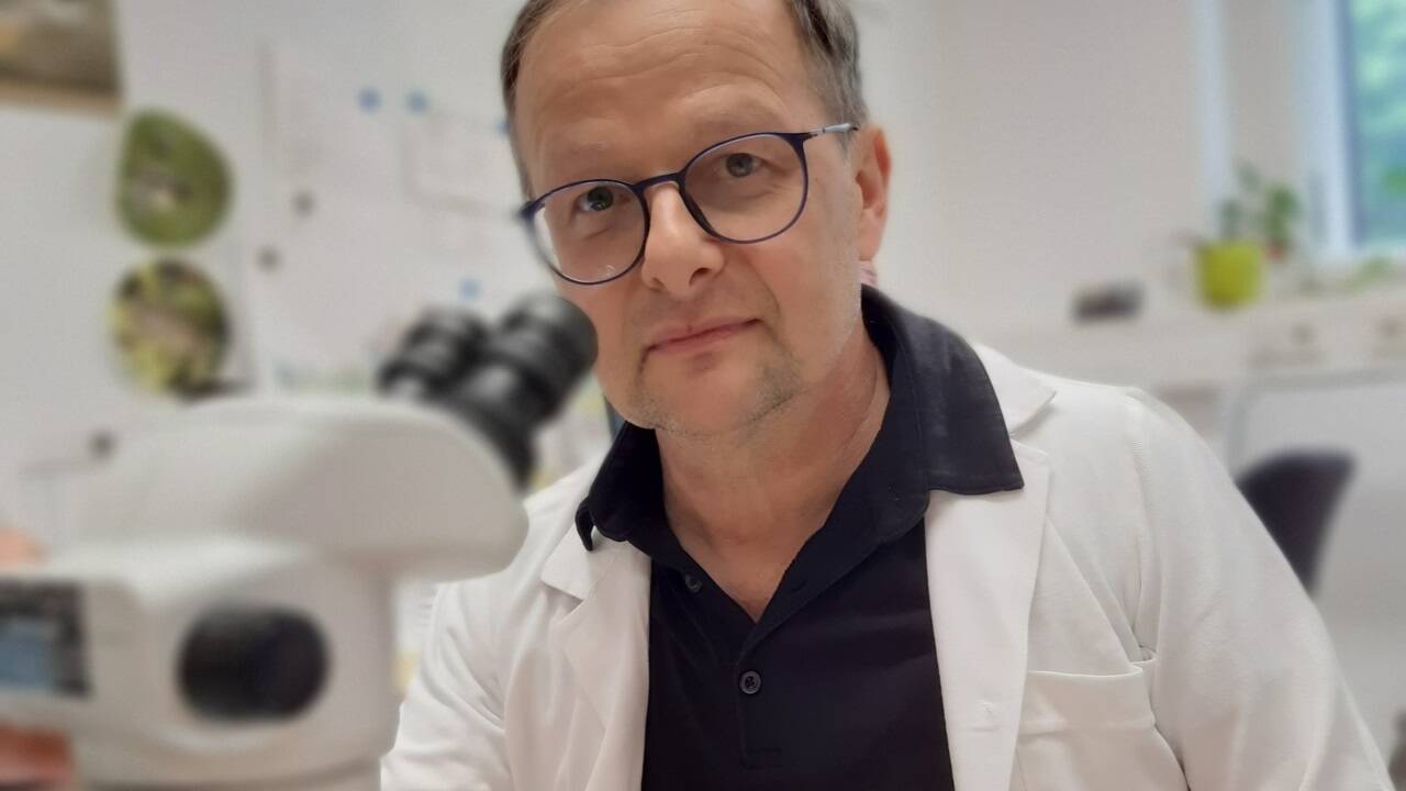 „Es gibt keine Behörde, die die Daten sammelt.“ Der Biologe Johann Zaller kritisiert das fehlende, regelmäßige Luft-Monitoring. „Es gibt keine Behörde, die die Daten sammelt.“ Der Biologe Johann Zaller kritisiert das fehlende, regelmäßige Luft-Monitoring.