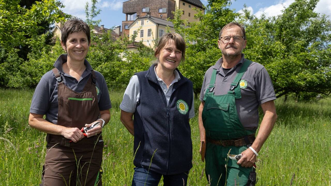 Sie setzen sich im Obst- und Gartenbauverein Elsbethen für den Erhalt alter Obstsorten ein: Silja Horak, Silvia Wambacher und Andreas Salzlechner im Streuobstgarten neben dem Kloster Goldenstein in Elsbethen. Seit 1992 kümmert sich der Verein um die 40 Obstbäume.  