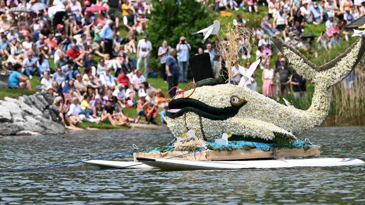 Tausende Besucher waren begeistert.  