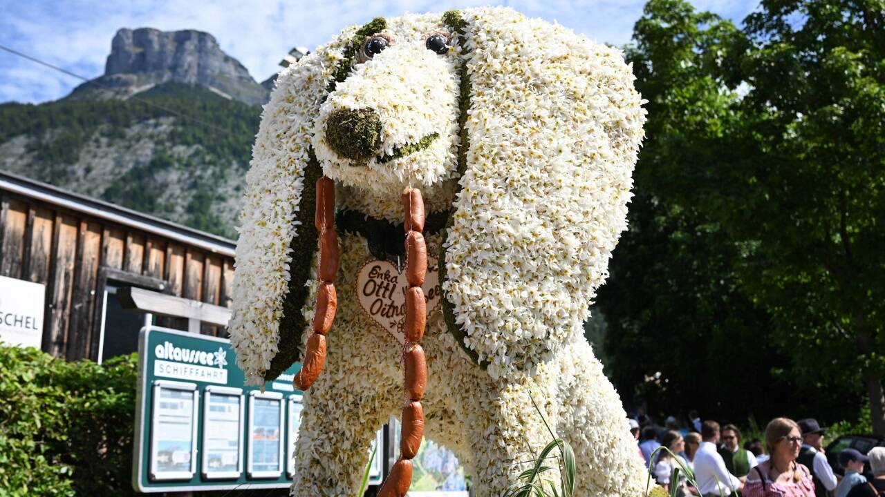 Die Narzissenfigur „Ottl, der Sumpfdackel“.  