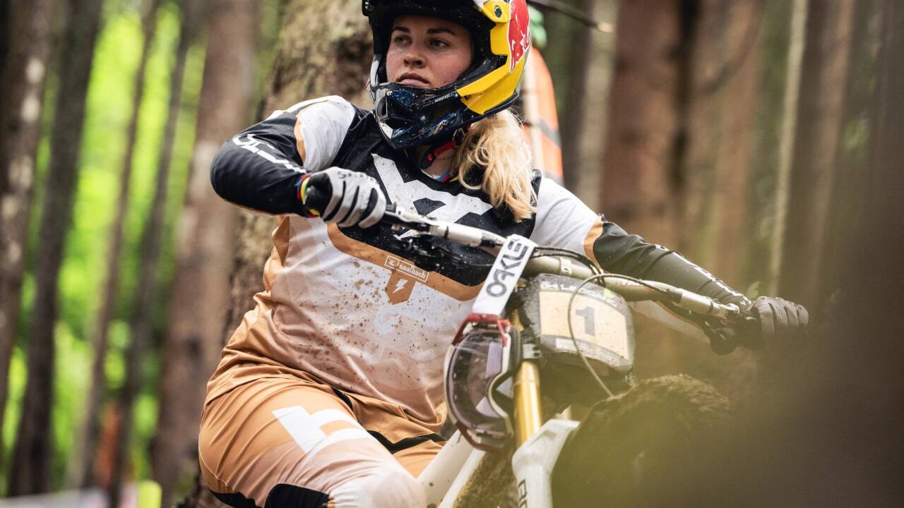 Vali Höll 