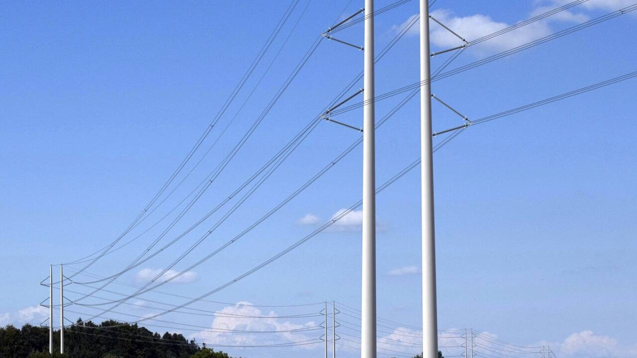 Der Projektbetreiber APG präsentierte 2011 die Darstellung einer besonderen Mastform für landschaftlich sensible Gebiete. 