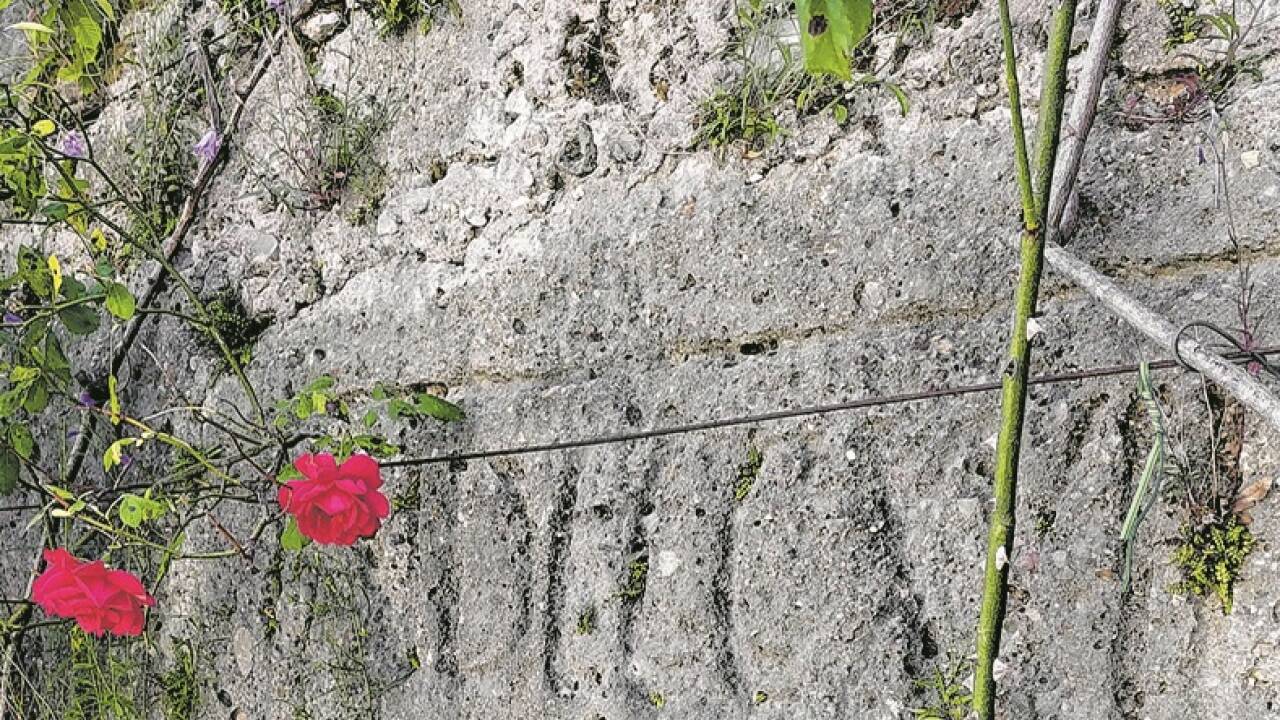 Die römische Jahreszahl in der Mauer des Kleinen Gartenparterres im Salzburger Mirabellgarten.  