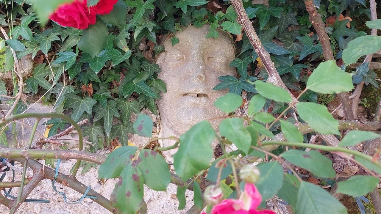 Mauergesicht Nummer eins.  