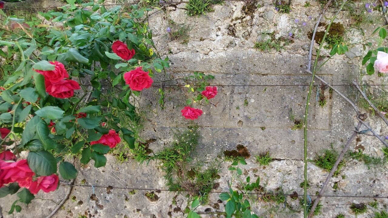 Der eingemauerte Jahreszahl-Stein.  