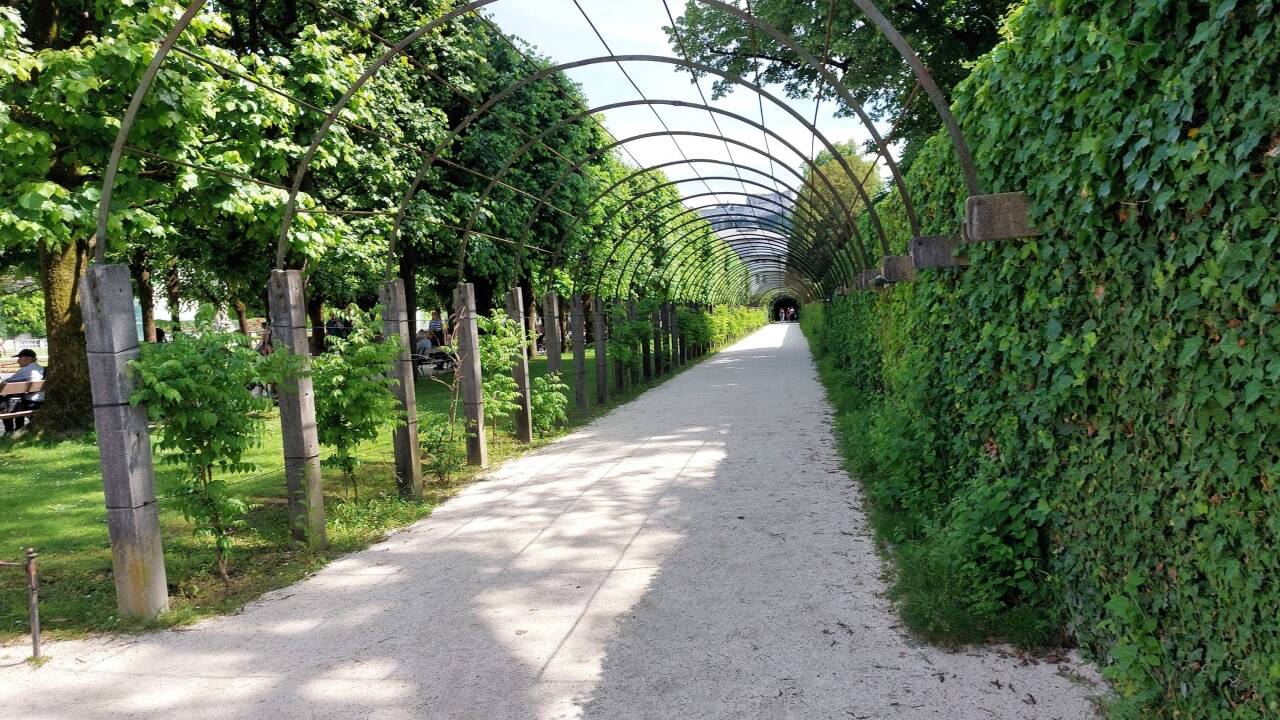 Der Laubengang im Mirabellgarten.  