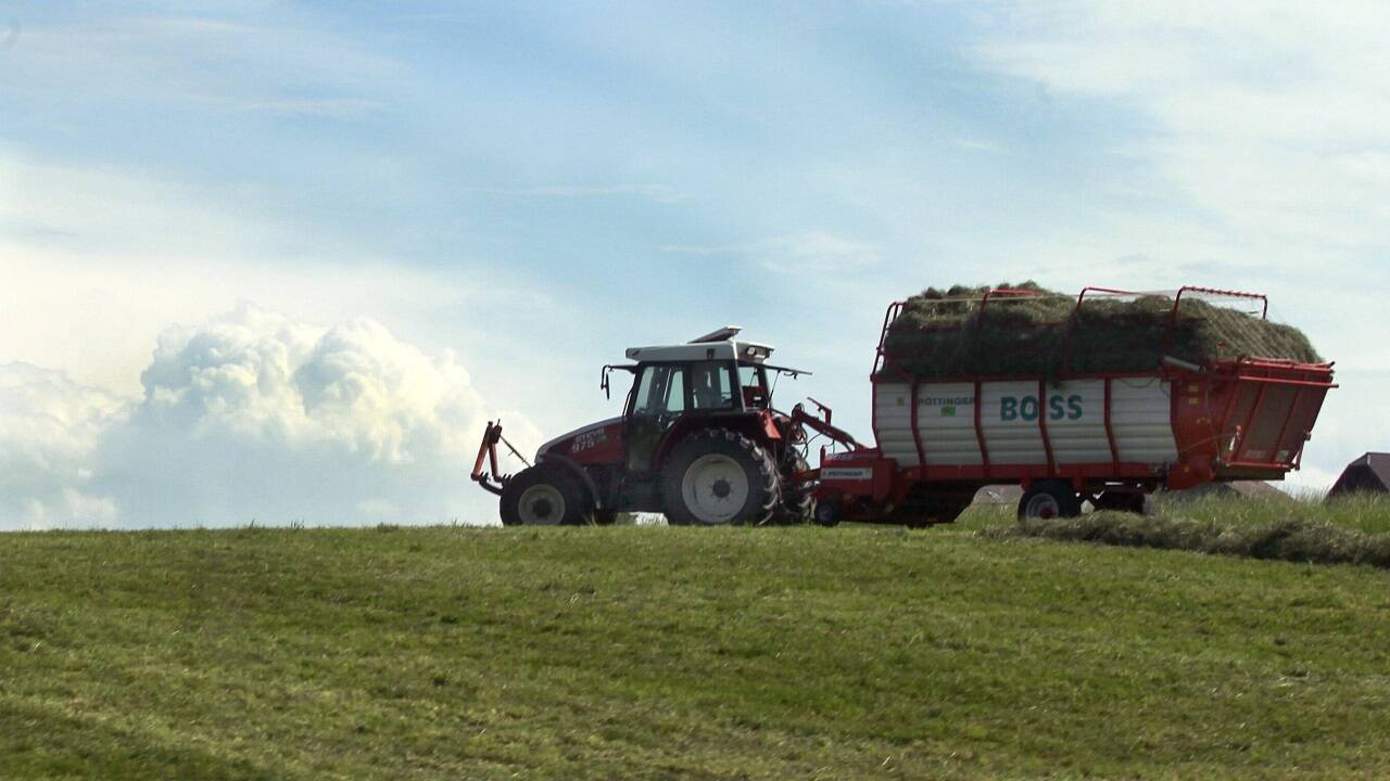 Für die Heuernte ist das Wetter spätestens ab Mittwoch auch in den Gebirgsgauen perfekt. 