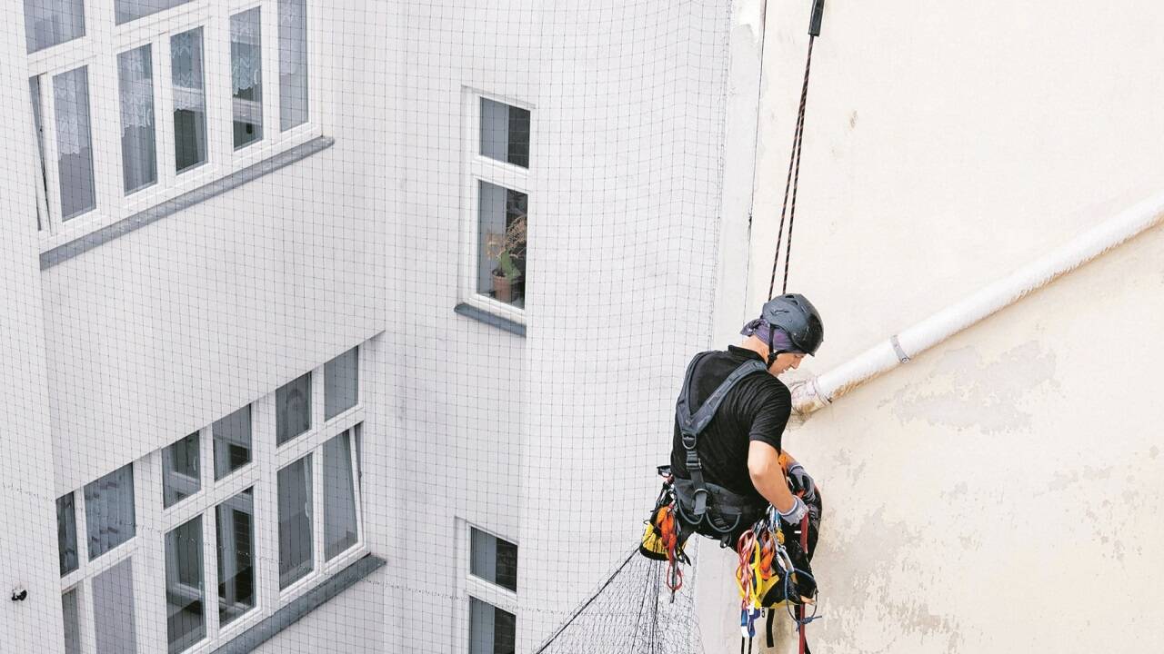 Schädlingsbekämpfung – im Bild Taubenabwehr durch Netze – gehört zu den Aufgaben einer umfassenden Hausbetreuung. 