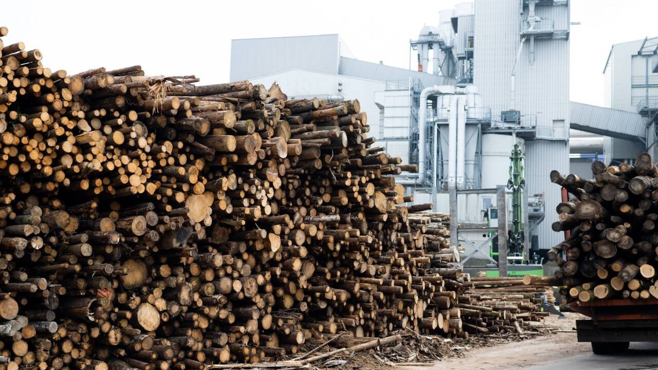 Das neue Kraftwerk soll am Werksgelände von Kaindl in Wals-Siezenheim entstehen. Das neue Kraftwerk soll am Werksgelände von Kaindl in Wals-Siezenheim entstehen.