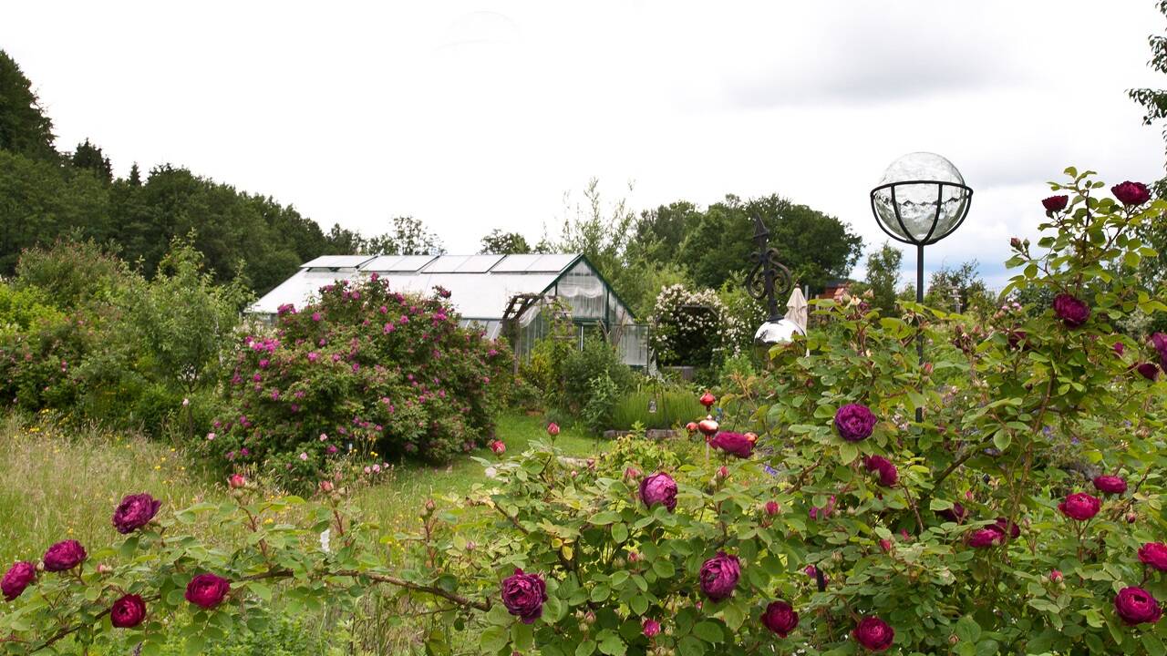 GARTENTAGE „Kräuterlust & Gartengenuss. Künstlerisch. Kreativ. Kulinarisch. 