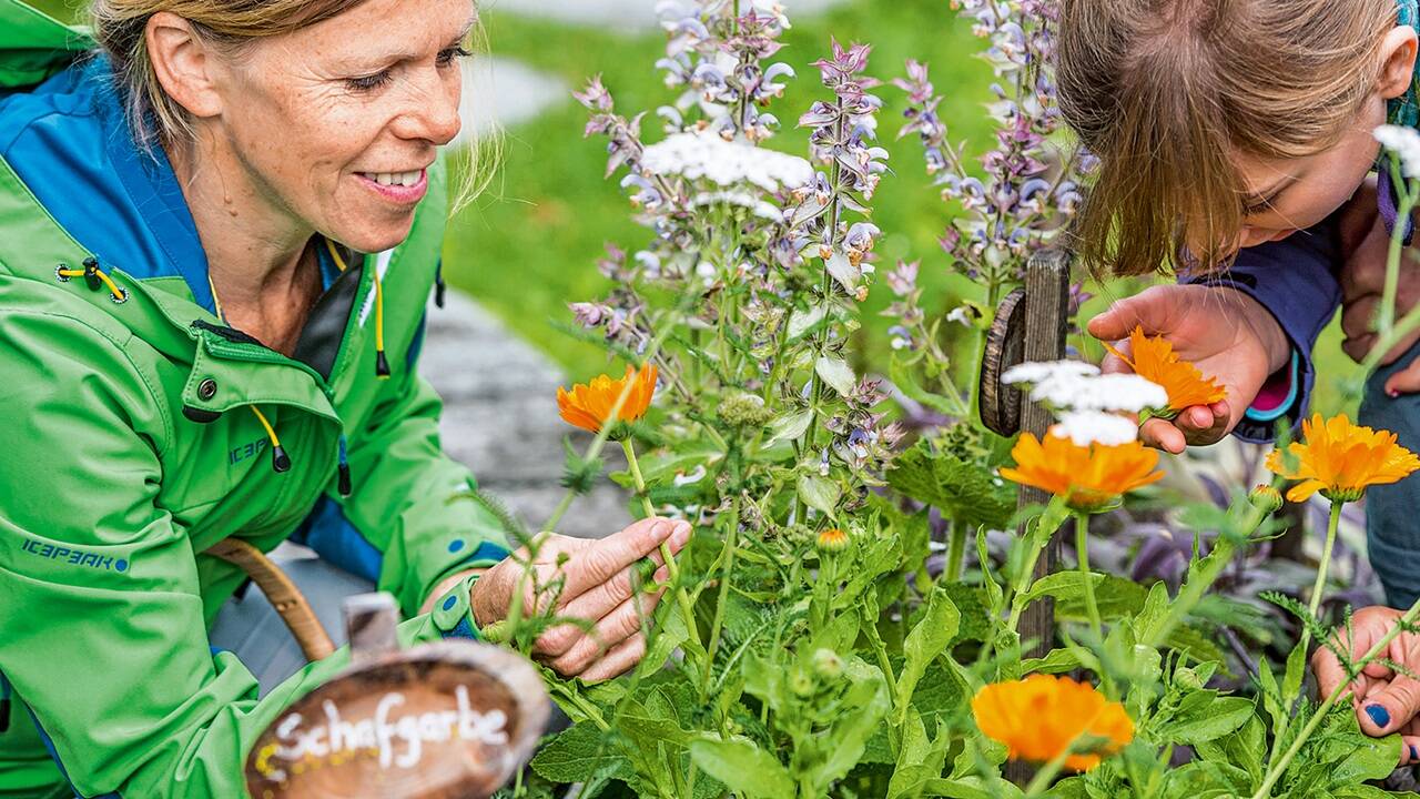 Bei einer Kräuterwanderung erfährt man alles über Kräuter und Blumen. 