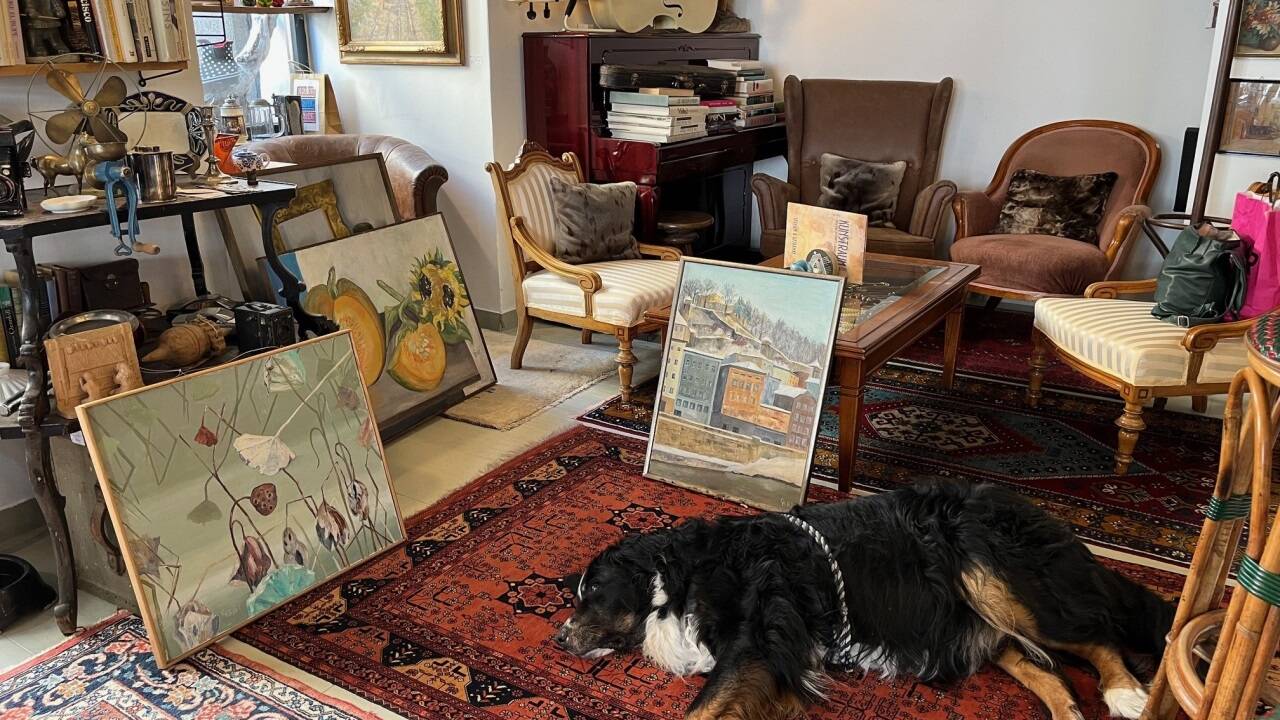 Gehört fix zum Inventar: Hund Bruno.  