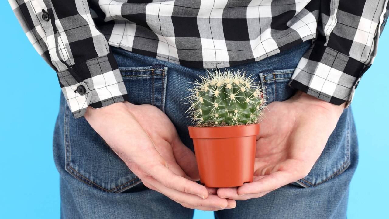 Nässen und Stuhlschmieren, die mit Jucken, Schmerzen und Brennen am After einhergehen können, weisen auf lädierte Hämorrhoiden hin. 