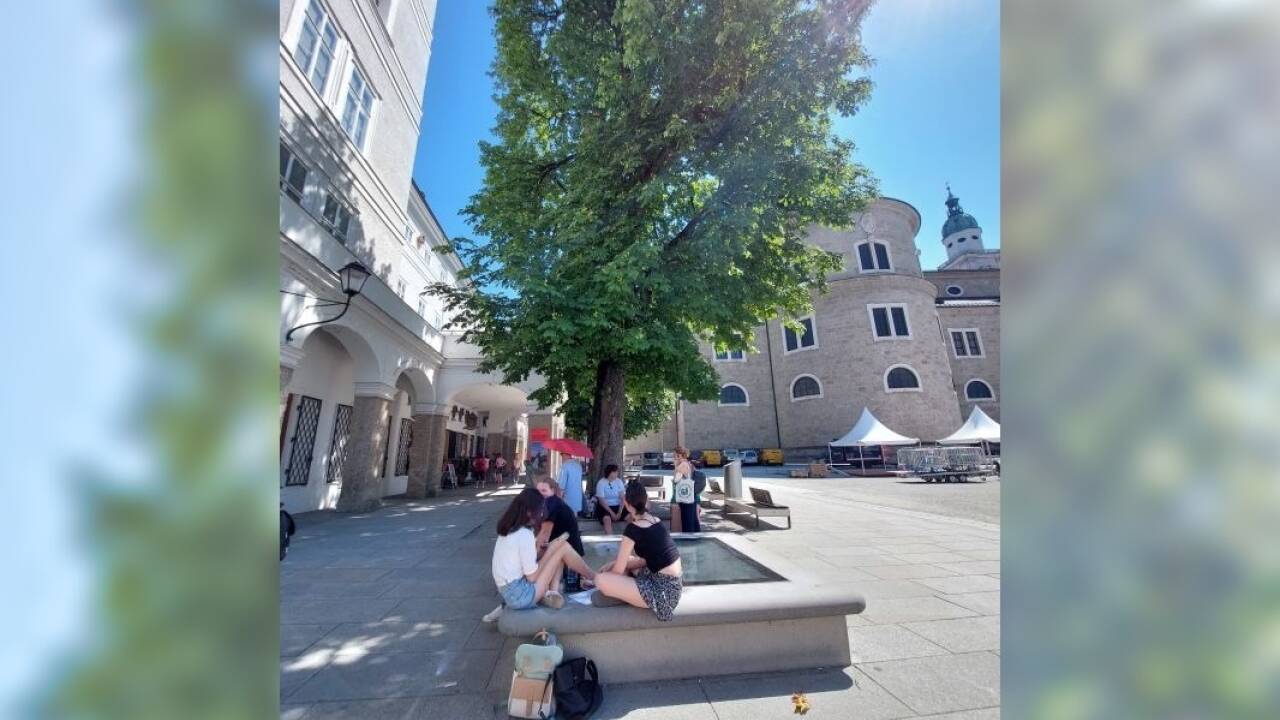 Kastanienbäume vor dem Heimatwerk auf dem Residenzplatz.  