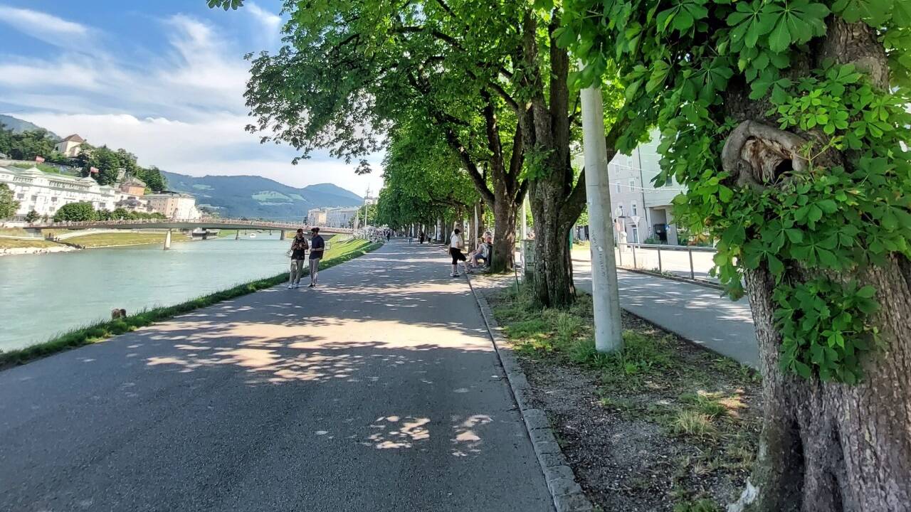 Allee an der Salzach.  