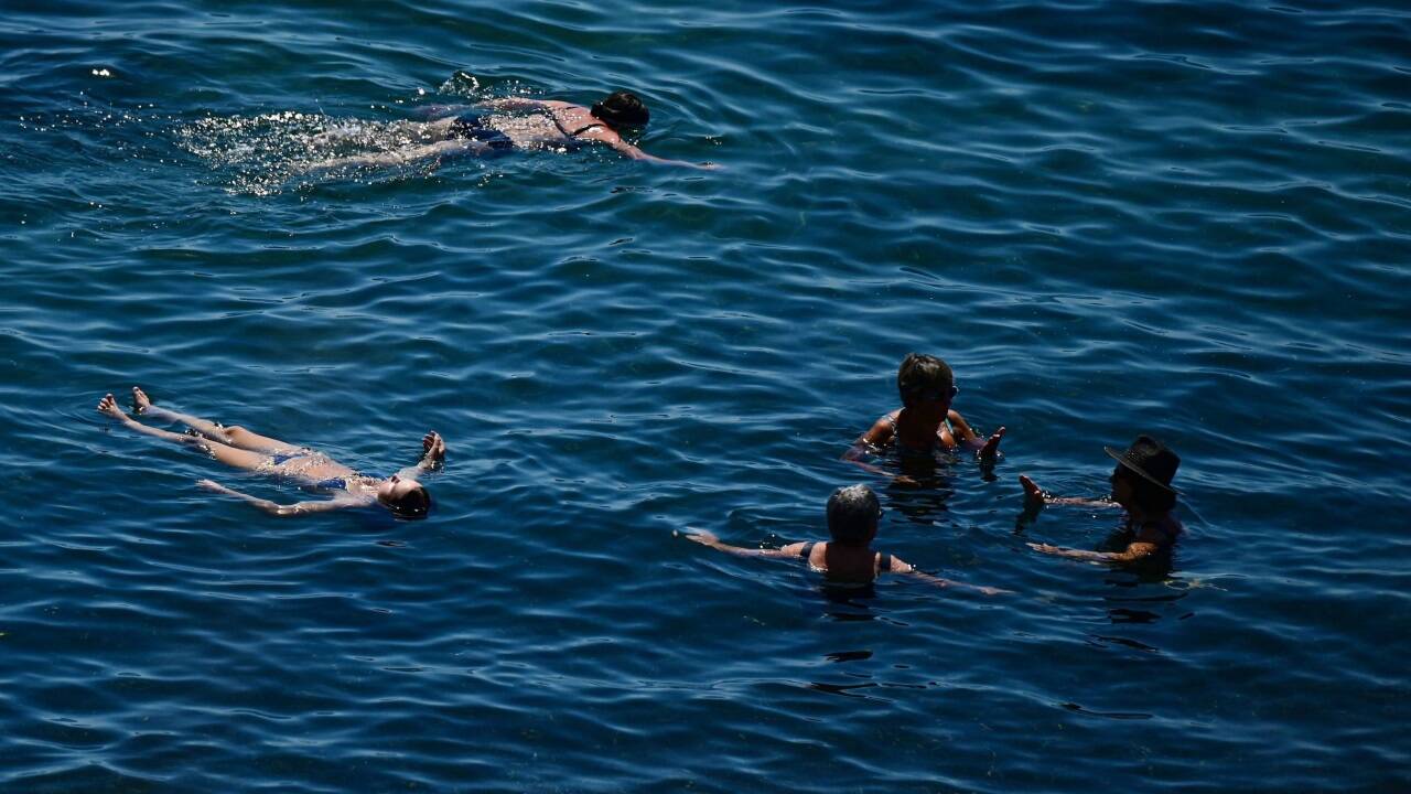 Hitze auf dem Land – aber auch höhere Temperaturen im Wasser. 