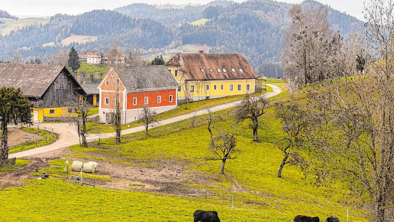 „Oblak“ (slowenisch: Wolke) ist der Hausname des Hofs im Leutschacher Ortsteil Remschnigg. 